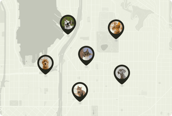 Map with location pins showing pet photos for nearby search